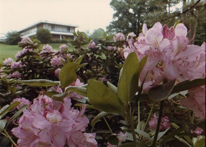WRAL Gardens in early years